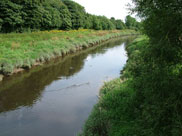 The River Douglas close to the canal