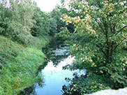 View from bridge on towpath