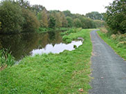 Subsidence on part of canal bank