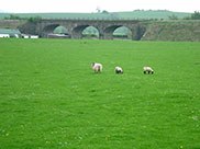 Open countryside and railway bridge