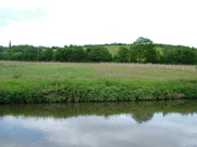 View of Parbold hill from the towpath