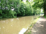 The canal at Arley Wood