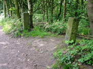 Old gateposts at Arley Wood