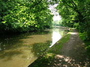 The canal close to Arley Hall