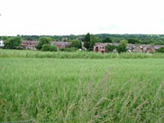 View towards Parbold village from the towpath