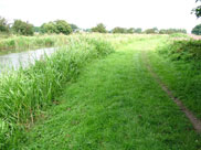 Wide grass towpath beyond the railway bridge