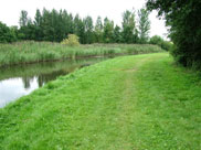 Another wide part of the grass towpath