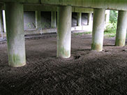 Under Molly Wood bridge, notice old railway line